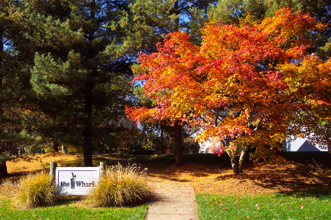 Wharf Entrance in the Fall